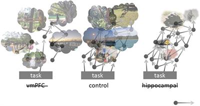 A Mind Free to Wander: Neural and Computational Constraints on Spontaneous Thought